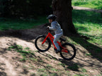 Batch 20” Kids Bike