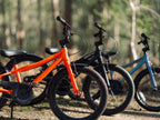 Batch 20” Kids Bike