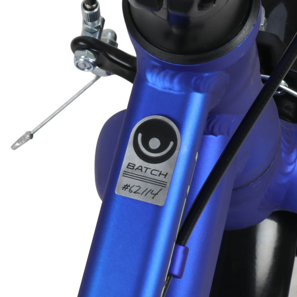 Batch 12” Kids Bike